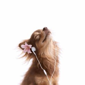 Cant Go Back (Slowed)