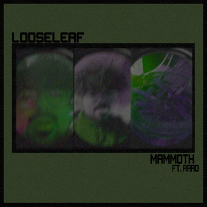 Looseleaf (Explicit)