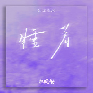 睡着（让我睡着别叫醒我的梦） - 林晚安封面