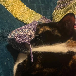 Lulluby (Sully’s Version)