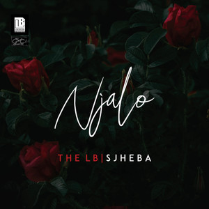 Njalo (feat. Sjheba)