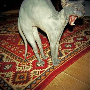 s.o.s (marky) (Explicit)