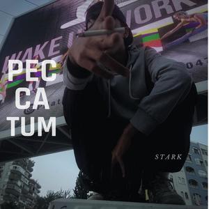 Peccatum (Explicit)