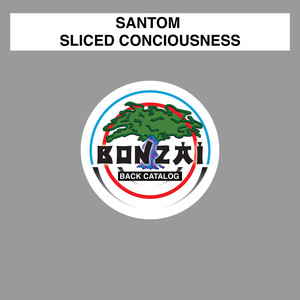 Sliced Conciousness