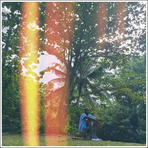 Hawaii Flows Part 2 (Explicit)