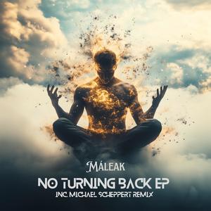 No Turning Back (Michael Scheppert Remix)