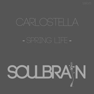 Spring Life (Original Mix)