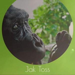 Jak Toss