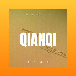 在网络里认识你 (DJ版)