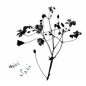 wabi sabi (little bit longer)