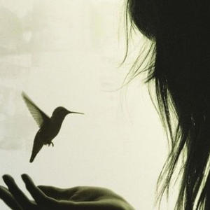 normal (feat. dimbleb)