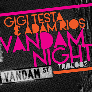 Vandam Night (Shelter Mix)