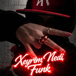 Xeyrim Nedi Funk (Ultra Slowed)