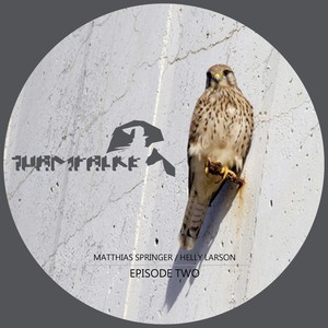 Rescue Me (Matthias Springer Remix)