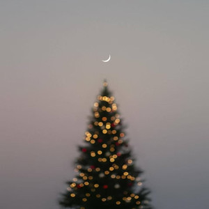 从很早就明白我讨厌孤单