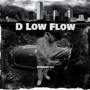 D Low Flow (Explicit)