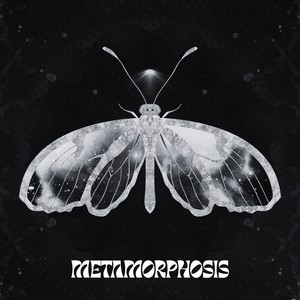 TOUS LE JOURS AVEC TOI