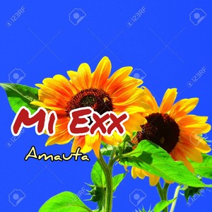 Mi Exx