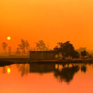 Chhathi Maiya (feat. Riddhi Clara & Akash Choubey)