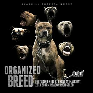 Organized Breed (feat. Kidd K. Phreezy, Malc Dat, Zeta Ztorm, Reason & Rich Celeb)