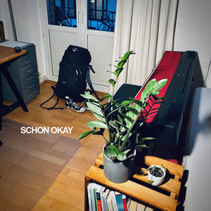 Schon Okay (Explicit)