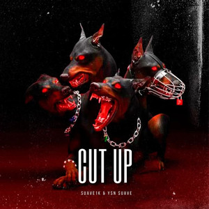 Cut Up (Explicit)