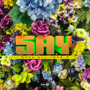 S.A.Y (Soca All Year) 5