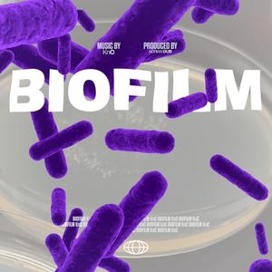 Biofilm