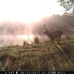 somehow (feat. peqc)