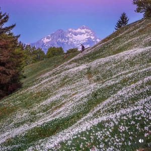 Do You Love Me Still (Explicit)