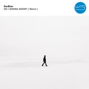Do I Wanna Know? (Remix)