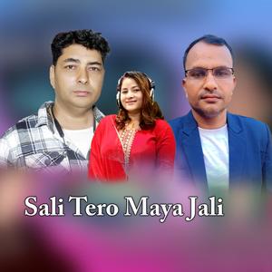 Sali Tero Maya Jali