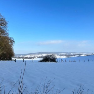 Holding A Great Plan