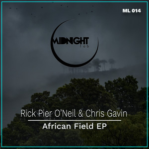 African Field (Original Mix)