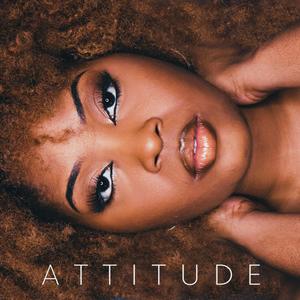 Attitude (Explicit)