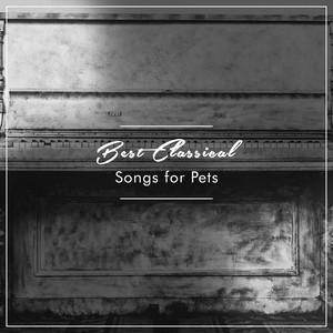 Beethoven's Sonata No 5 in C Minor Op 10 No 1 III Finale Prestissimo