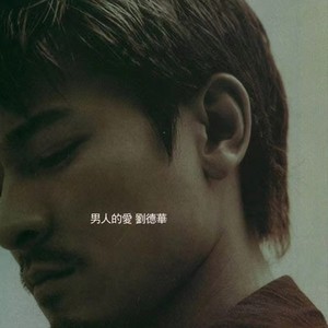 刘德华专辑《男人的爱》封面图片