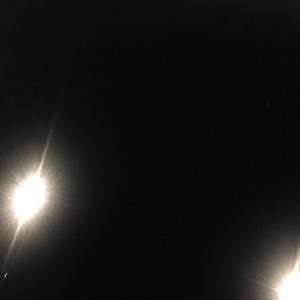 didmewrong (Explicit)