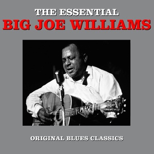 Big Joe Williams - Yo Yo Blues