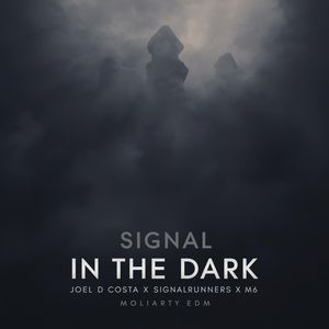 SIGNAL IN THE DARK