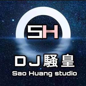 自由飞翔 DJ封面