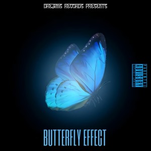 Butterfly Effect