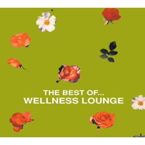 The Best Of …Wellness Lounge