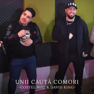 Unii caută comori