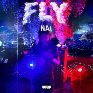 FLY (Explicit)