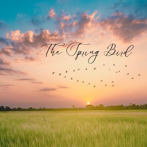 The Spring Bird