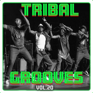 Tribal Grooves Vol. 20