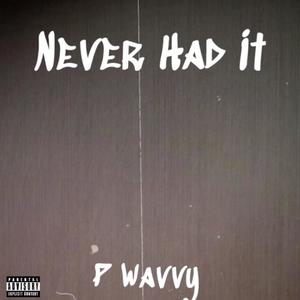 Never Had It (Explicit)