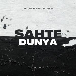 Sahte Dünya (feat. Maestro & Ashoo)