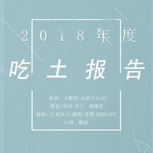 2018年度吃土报告